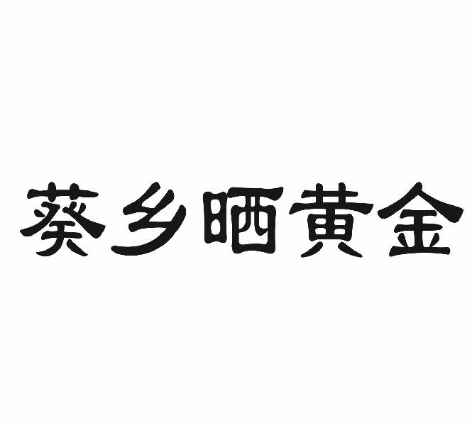 葵乡晒黄金