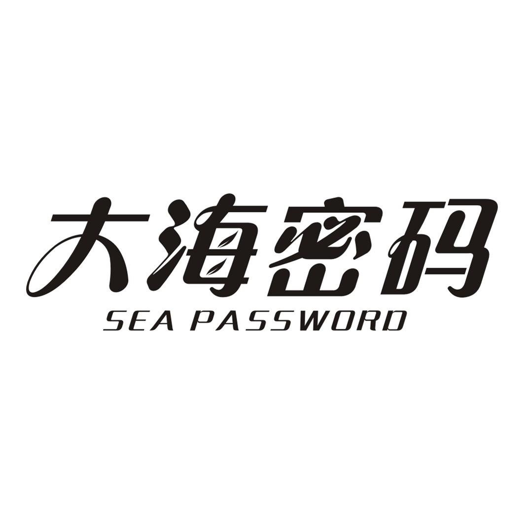 大海密码 SEA PASSWORD