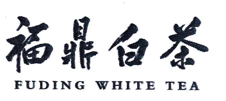 福鼎白茶;FUDING WHITE TEA