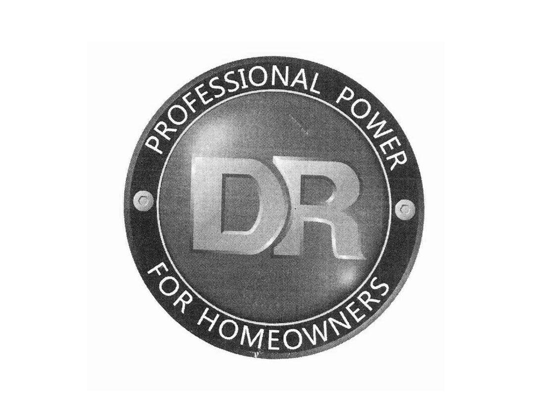 PROFESSIONAL POWER FOR HOMEOWNERS DR