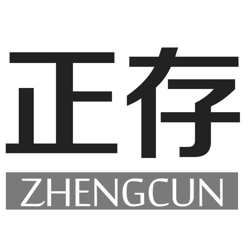 正存
