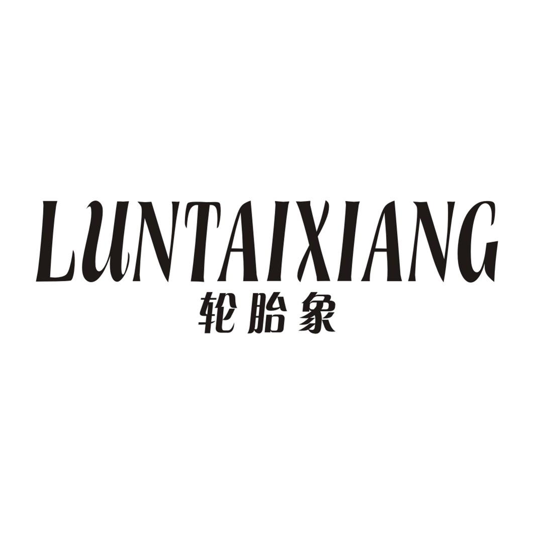 轮胎象