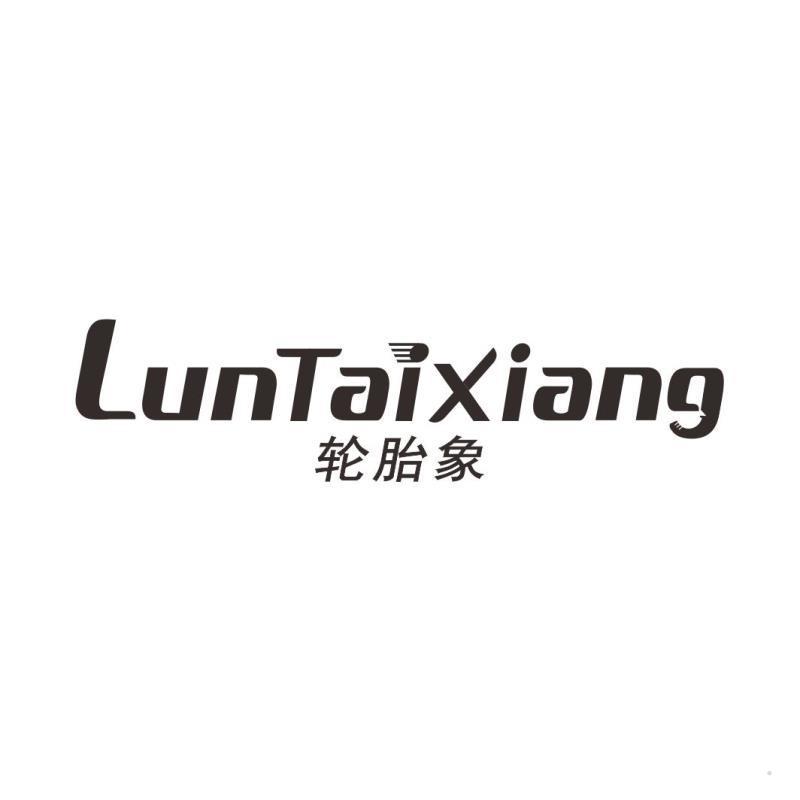 轮胎象