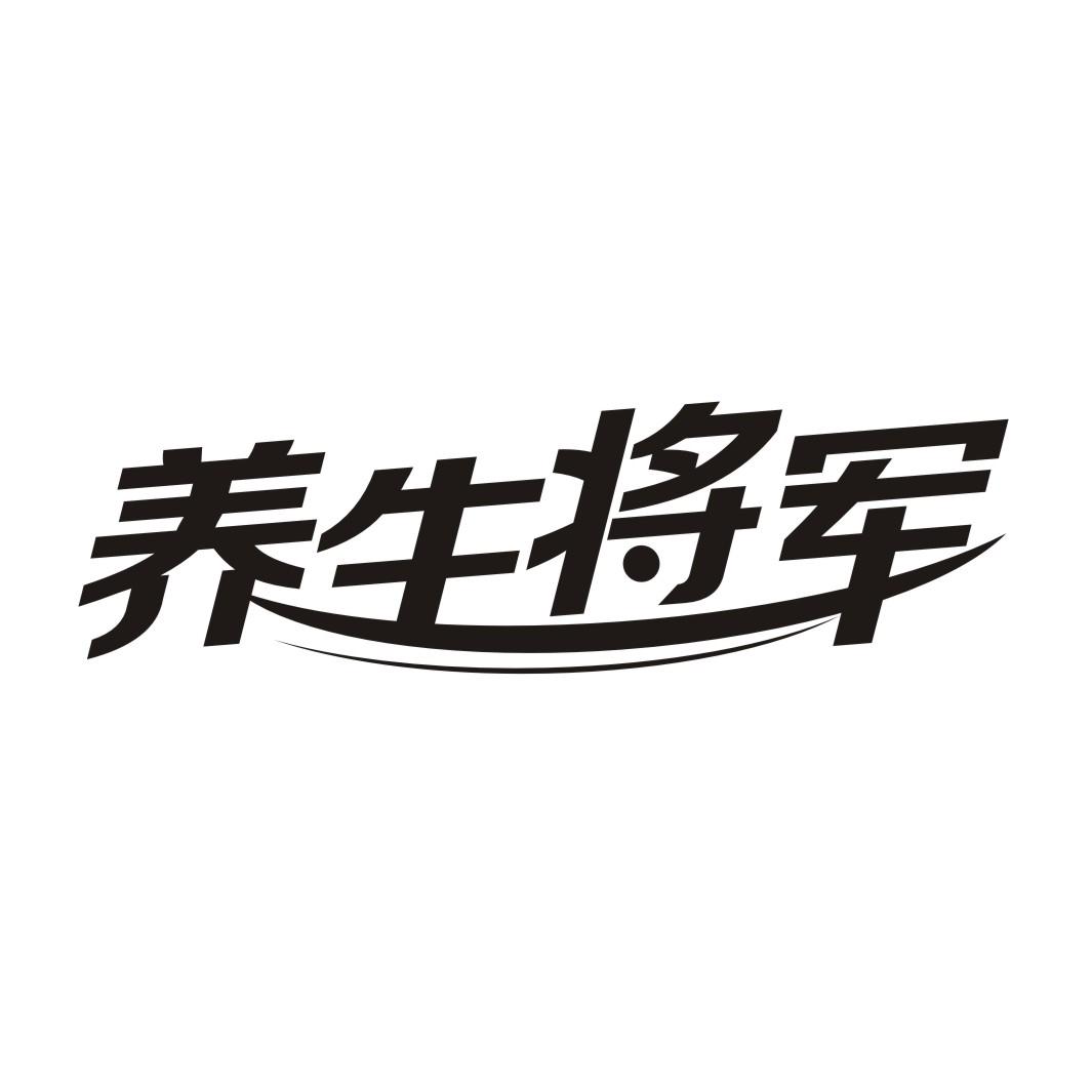 养生将军