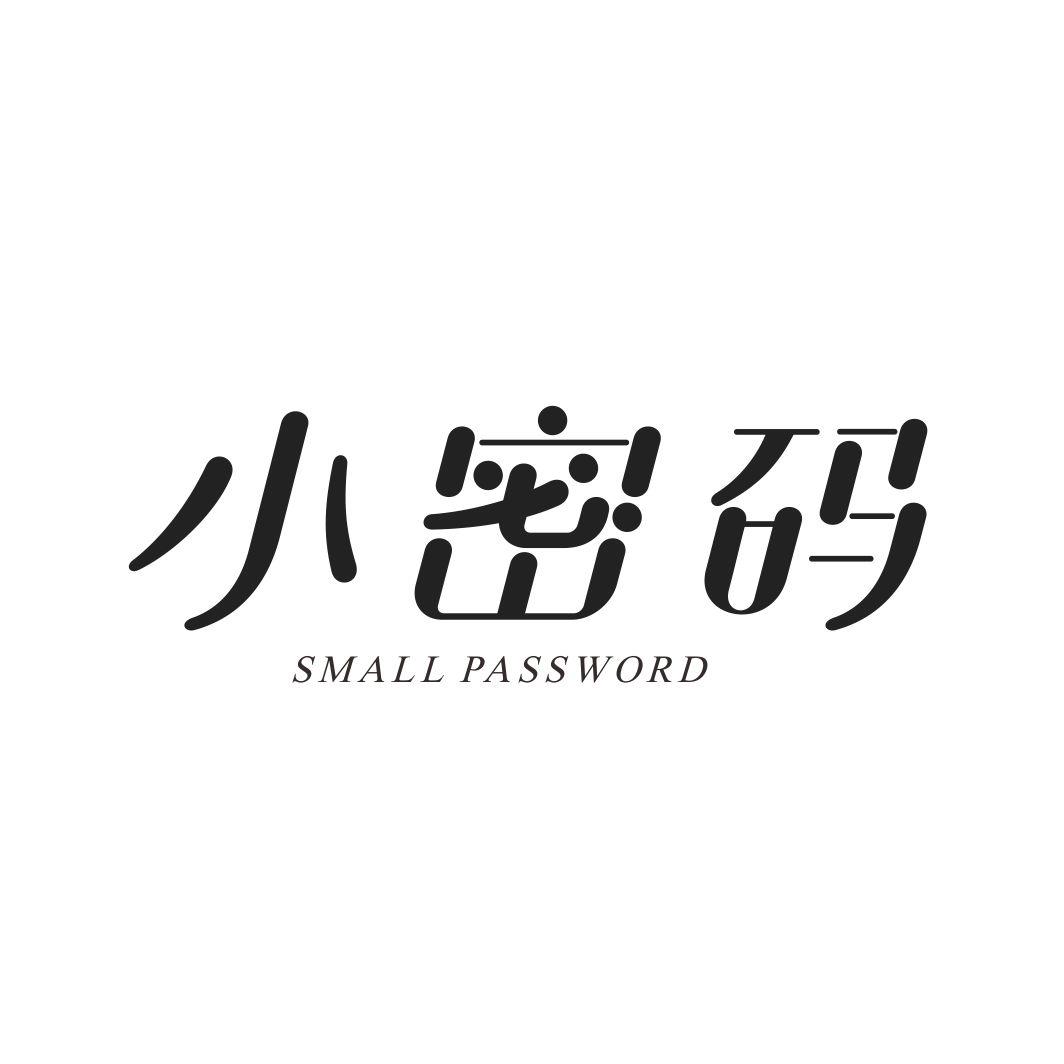 小密码 SMALL PASSWORD