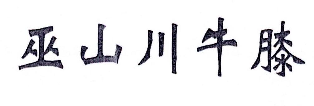 巫山川牛膝
