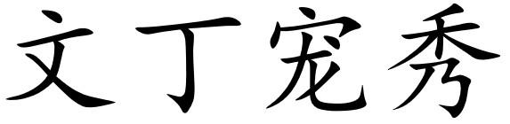 文丁宠秀