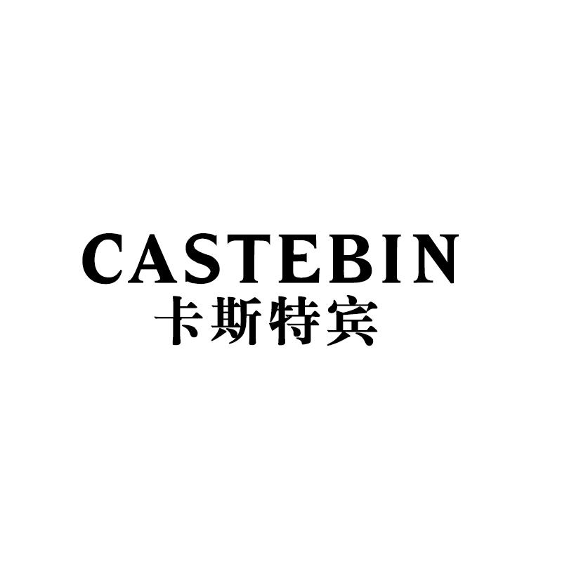 CASTEBIN 卡斯特宾