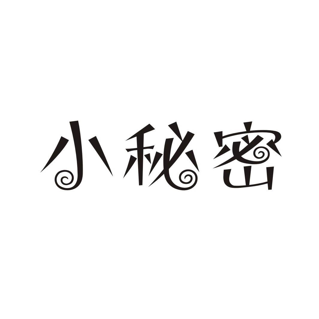 小秘密