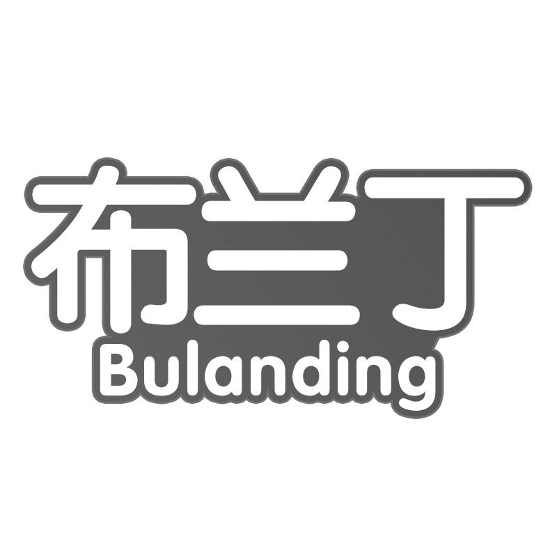 布兰丁