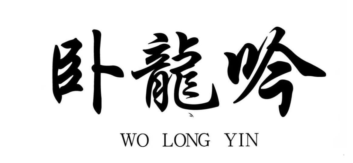 卧龙吟