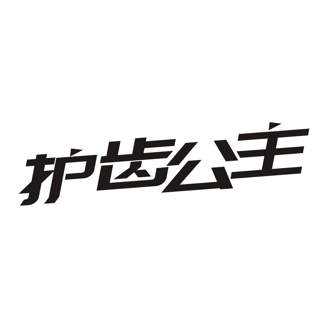 护齿公主
