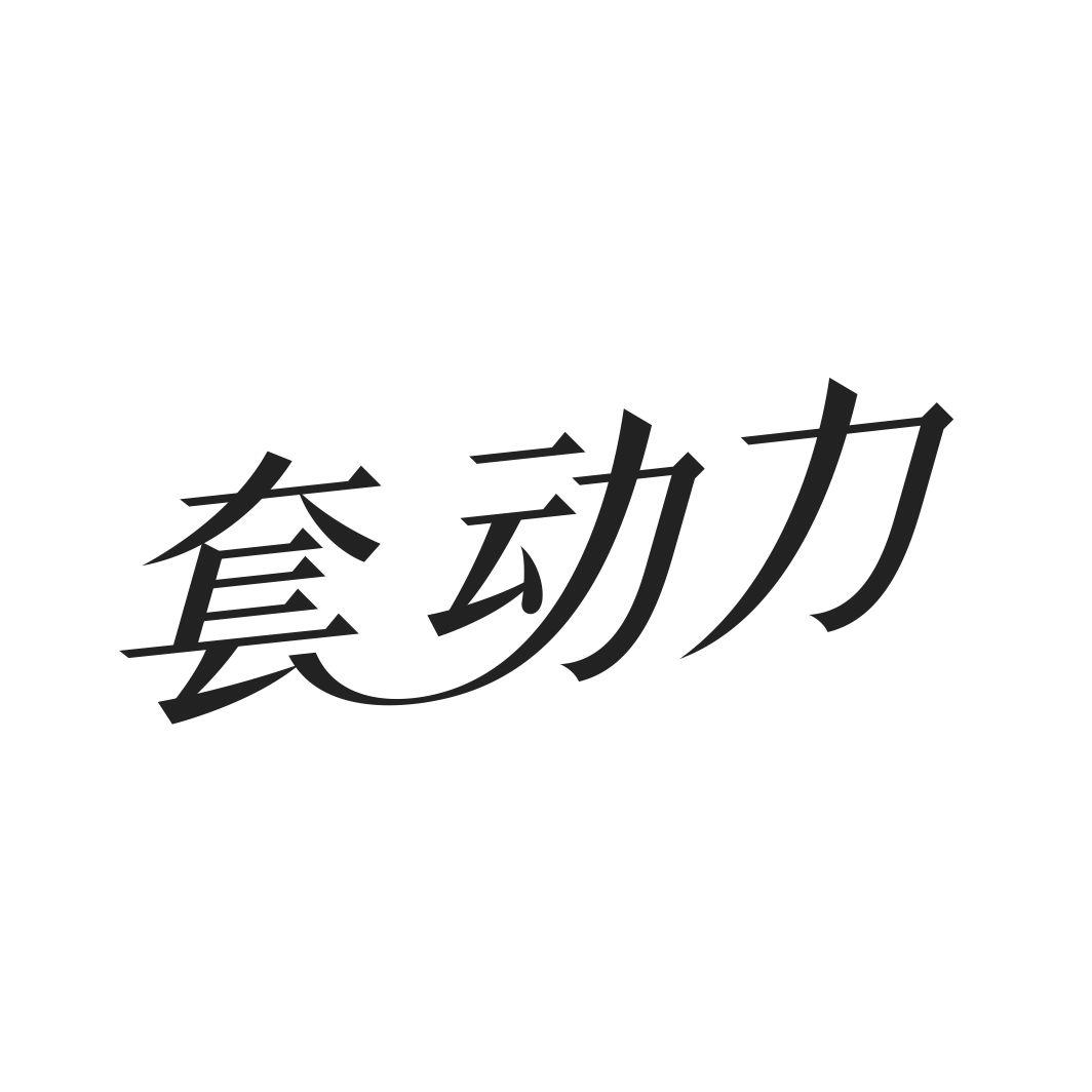 套动力
