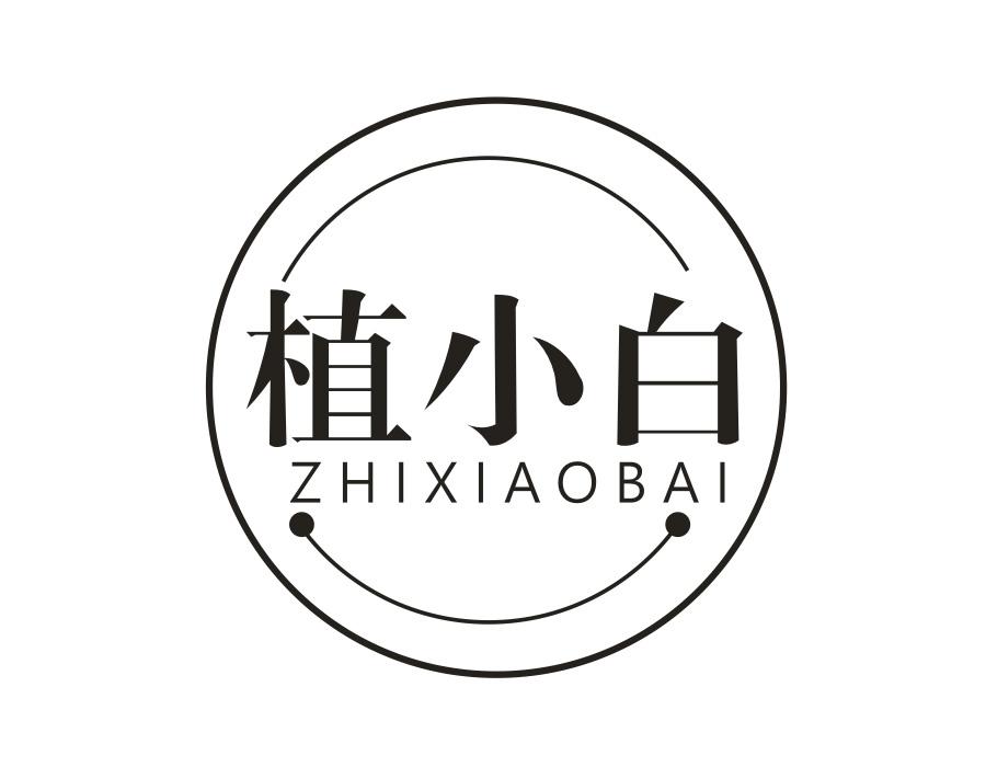 植小白