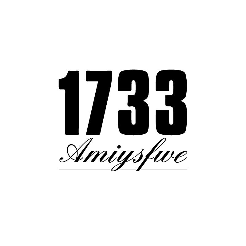 1733 AMIYSFWE