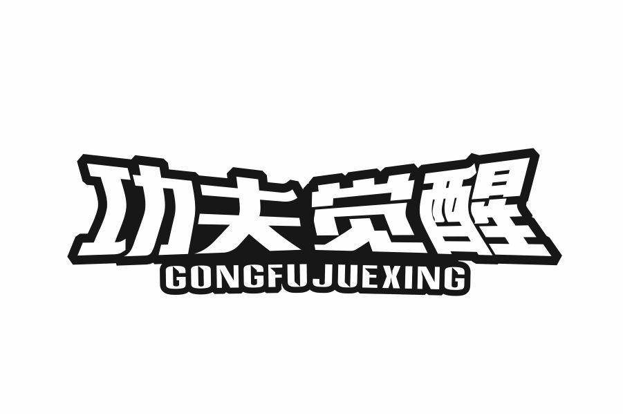 功夫觉醒