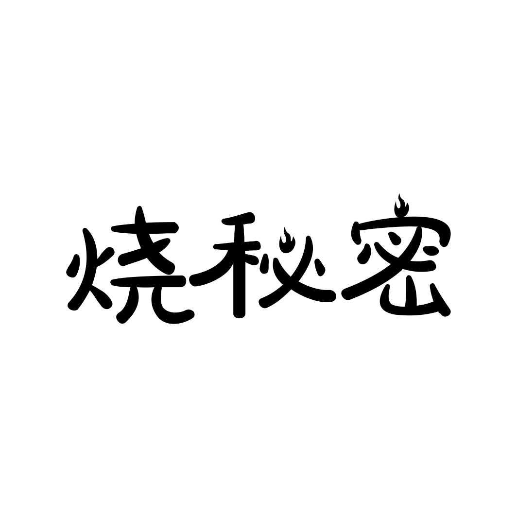烧秘密