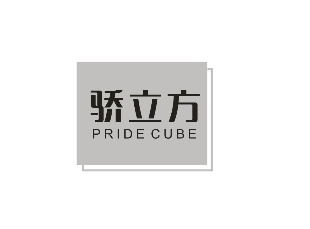 骄立方 PRIDE CUBE