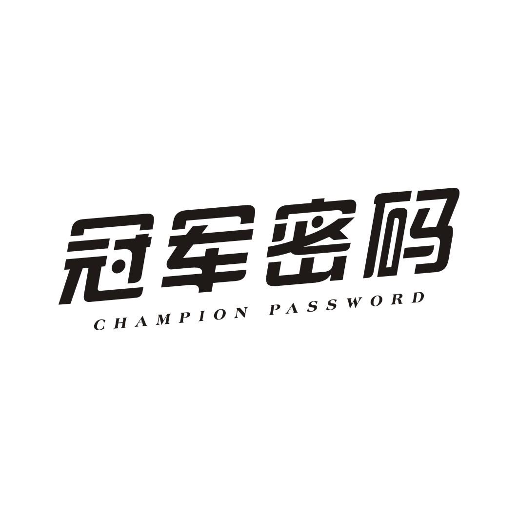 冠军密码 CHAMPION PASSWORD