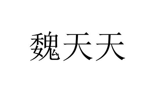 魏天天