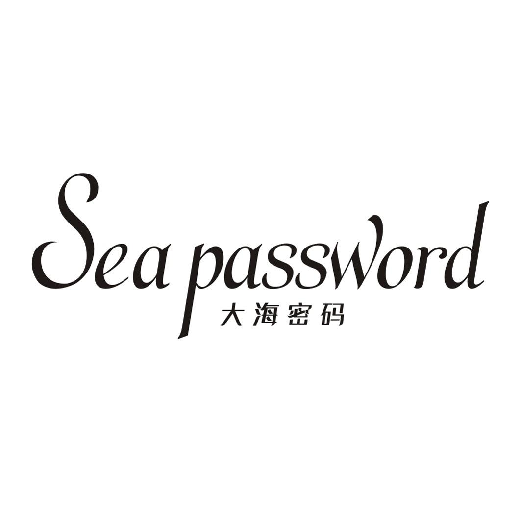 大海密码 SEA PASSWORD