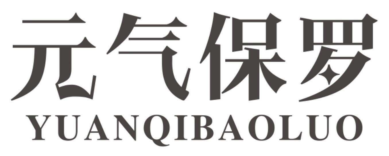 元气保罗