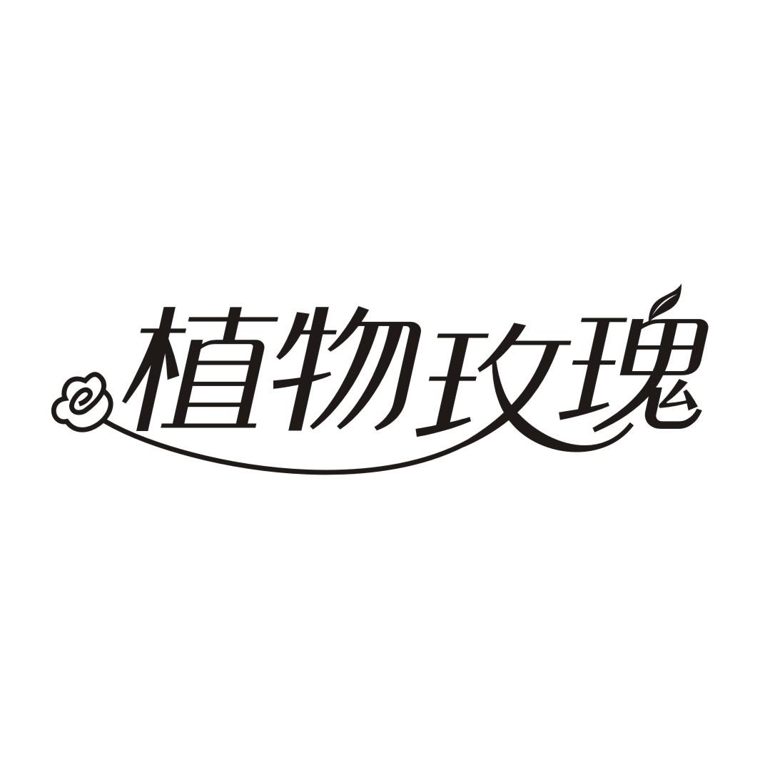 植物玫瑰