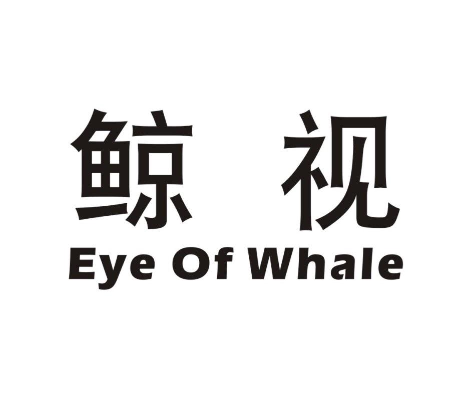 鲸视 EYE OF WHALE