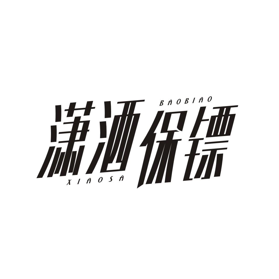 潇洒保镖