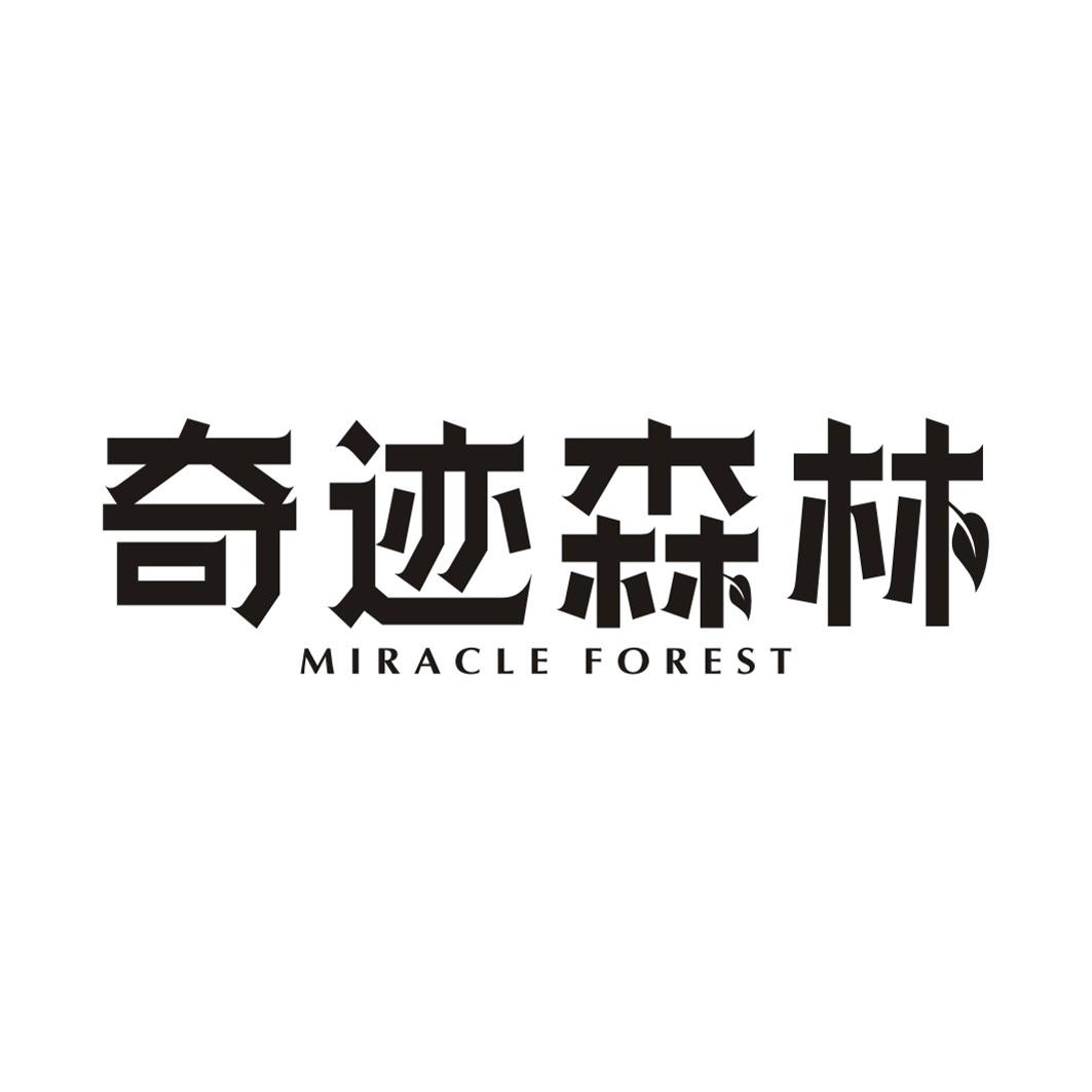 奇迹森林 MIRACLE FOREST