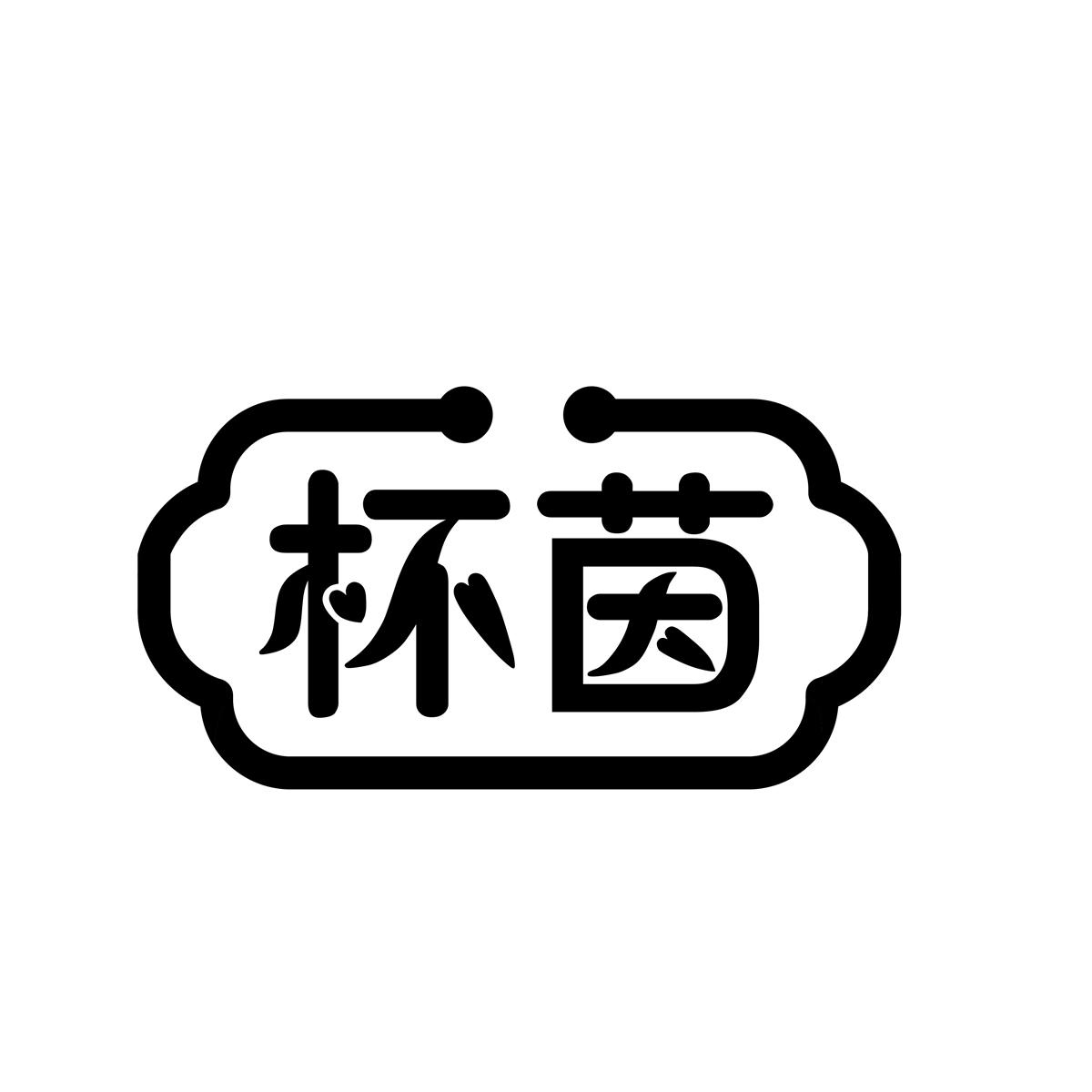 杯茵