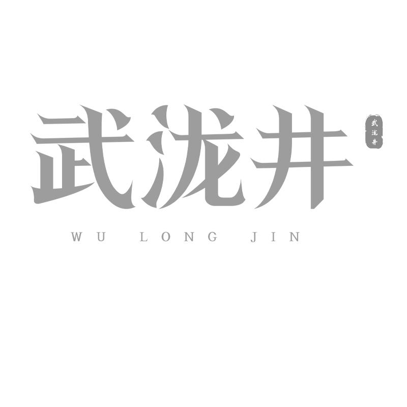 武泷井 WU LONG JIN