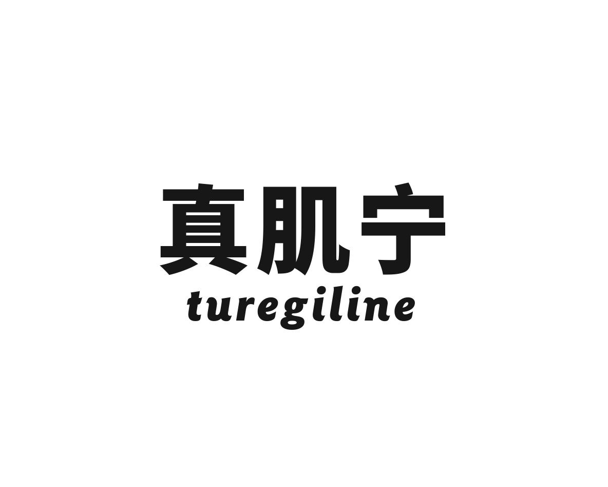 真肌宁 TUREGILINE
