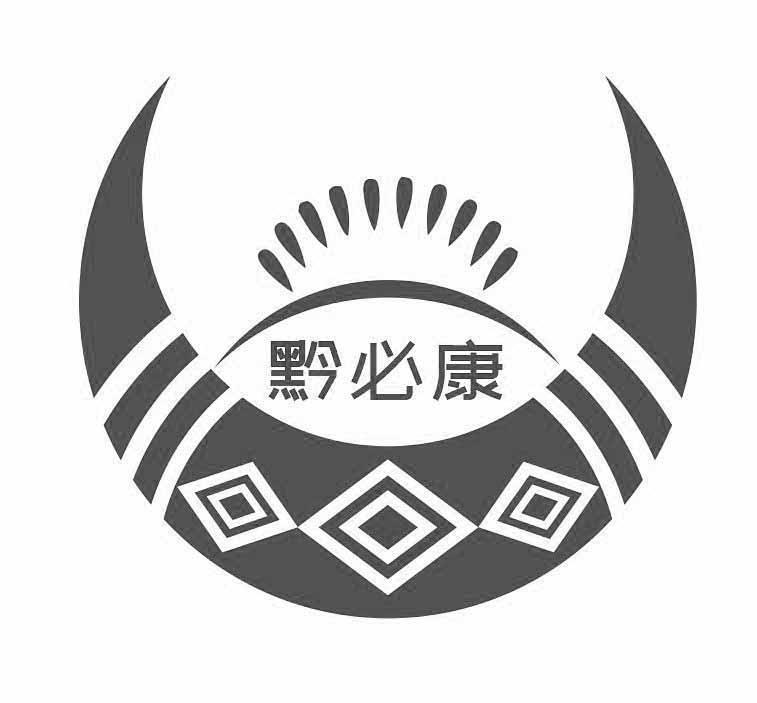 黔必康