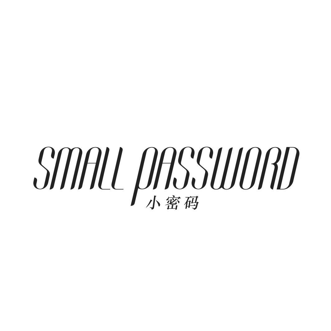 小密码 SMALL PASSWORD