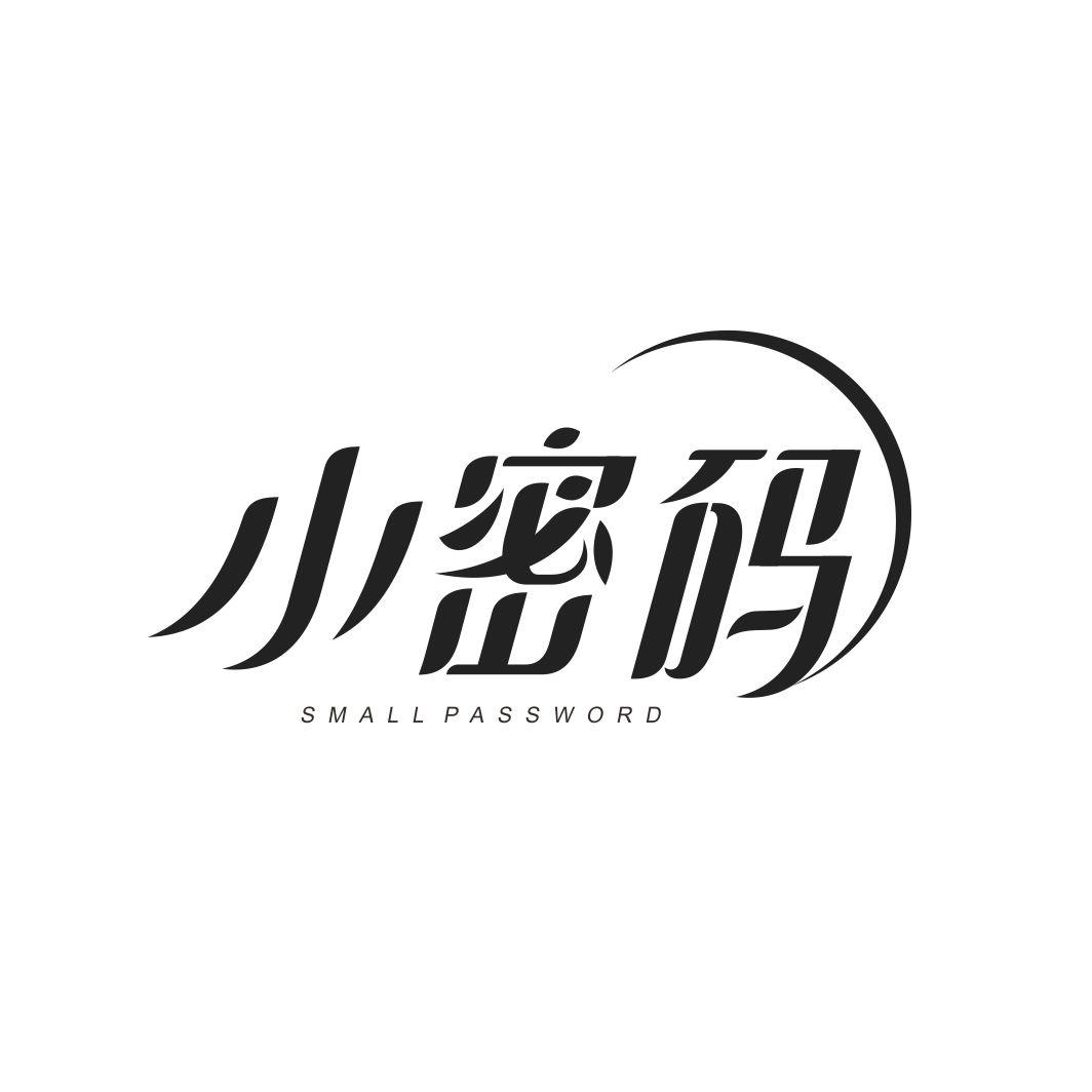 小密码 SMALL PASSWORD