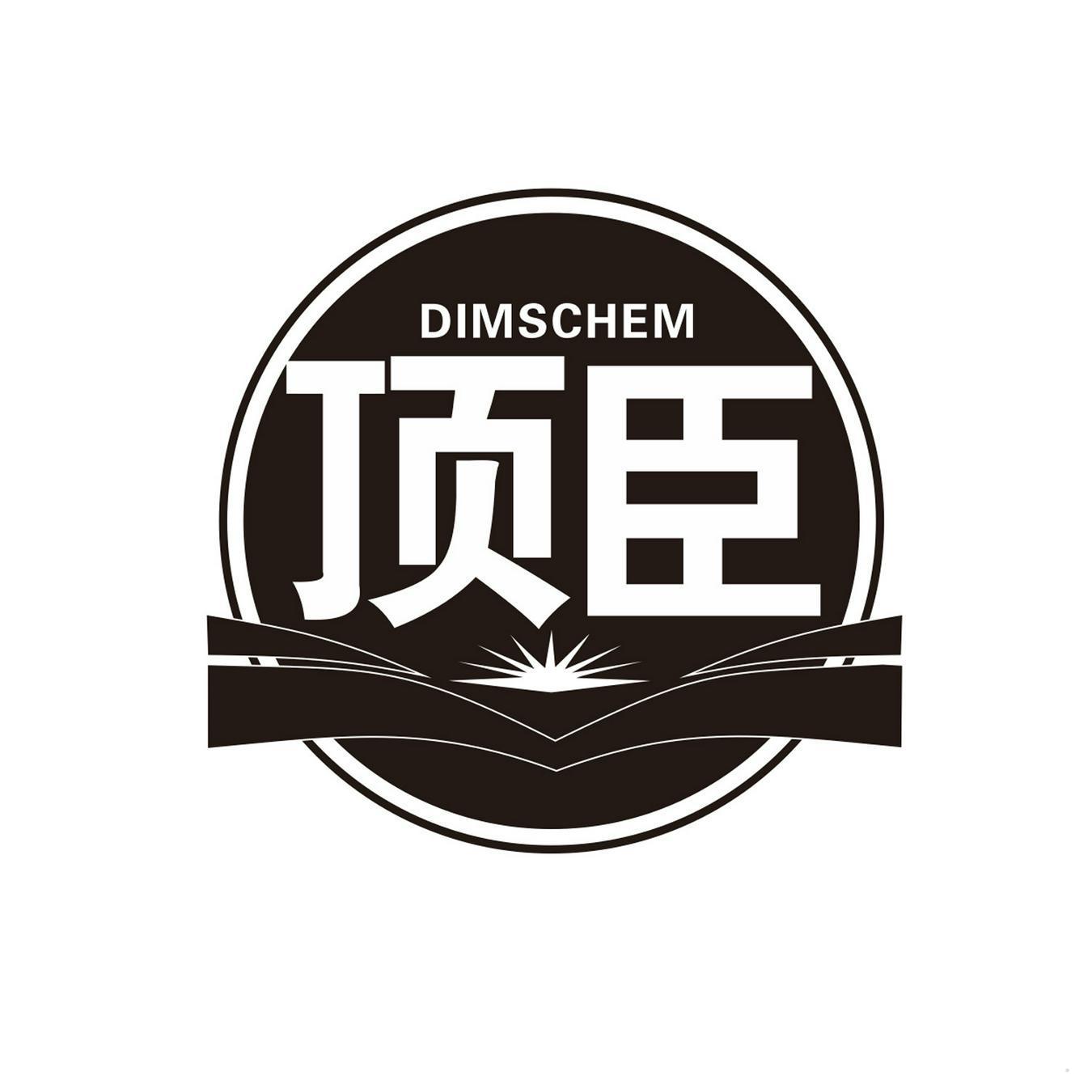 顶臣 DIMSCHEM