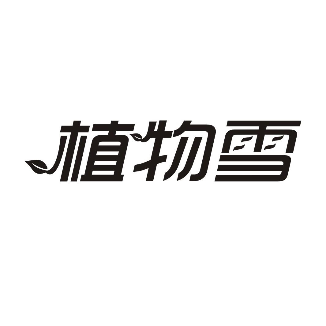 植物雪