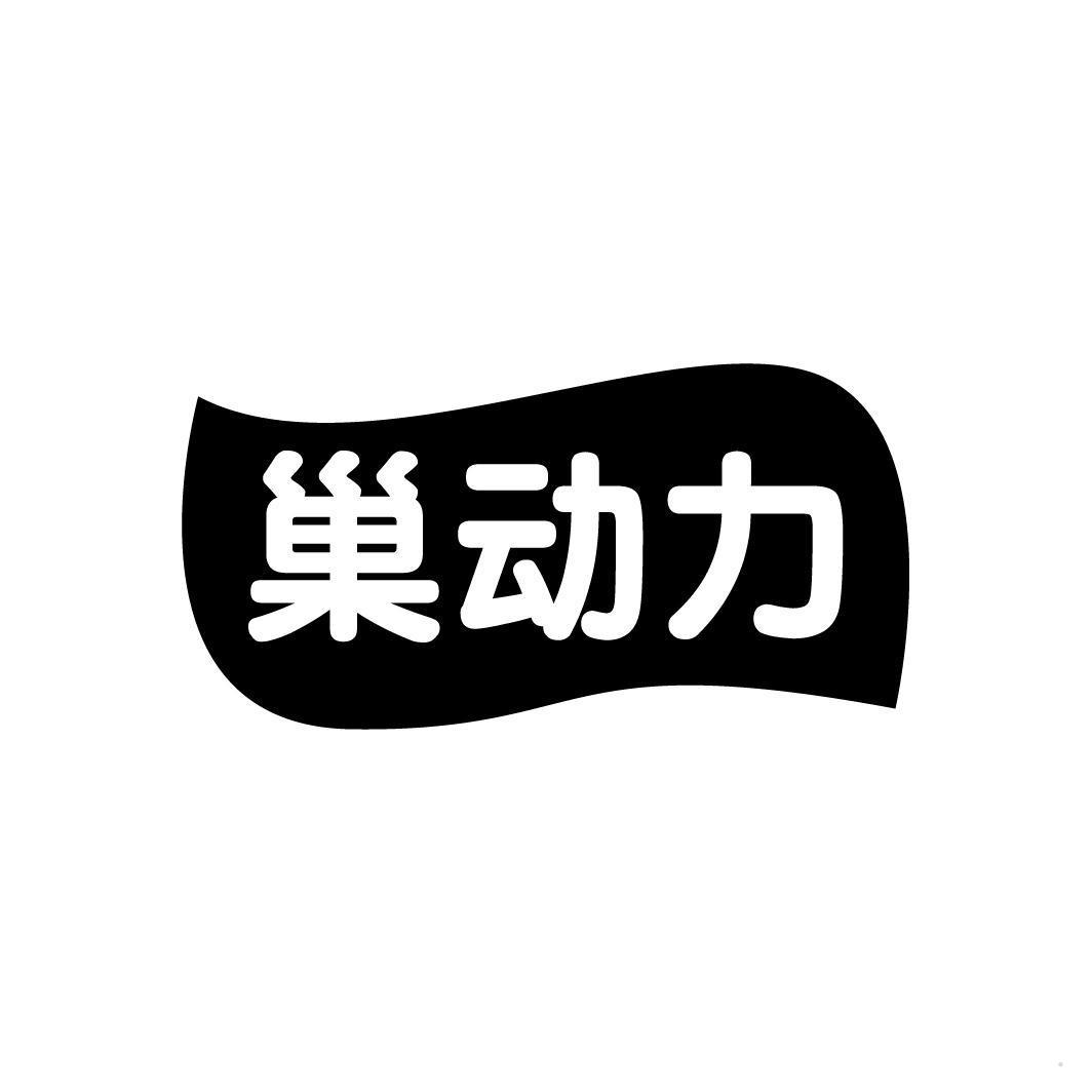 巢动力