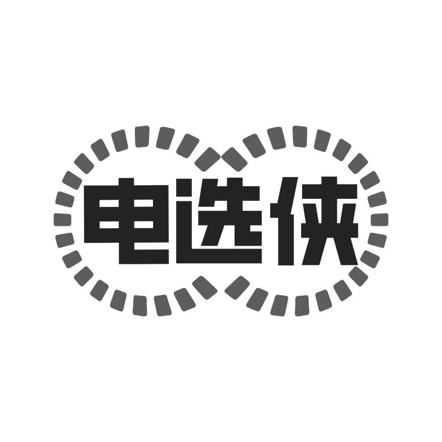 电选侠