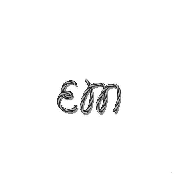 EM