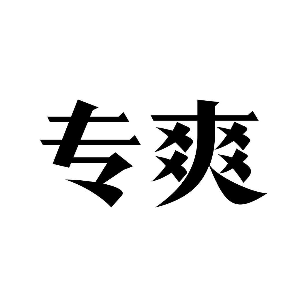 专爽