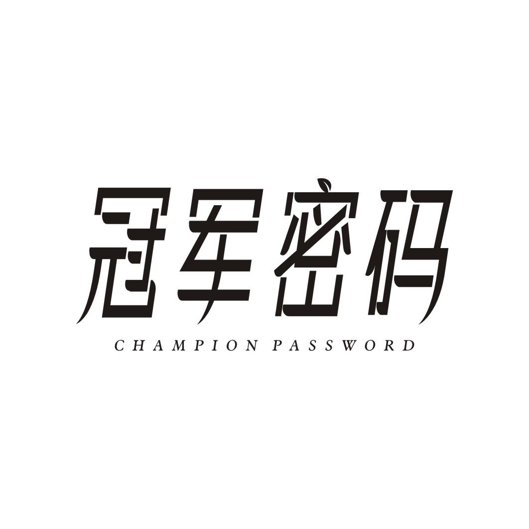 冠军密码 CHAMPION PASSWORD