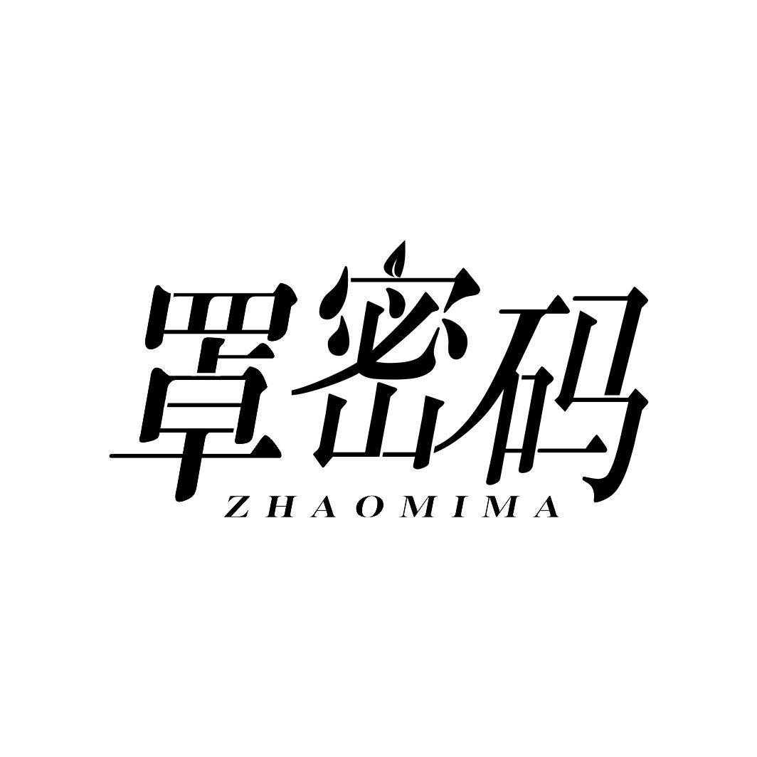 罩密码