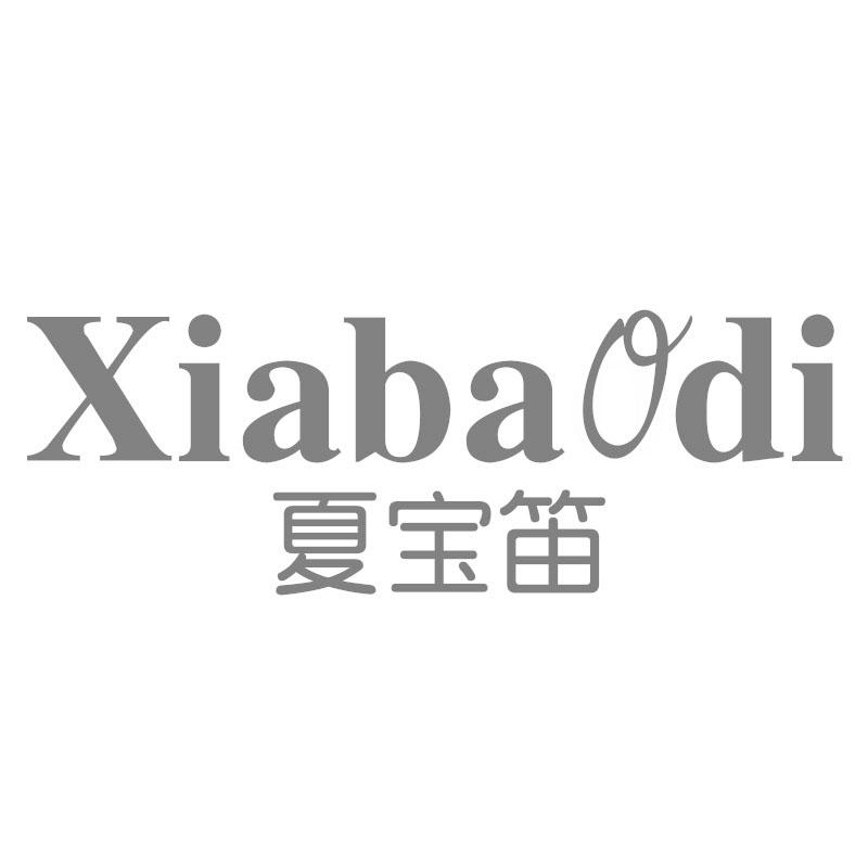 夏宝笛