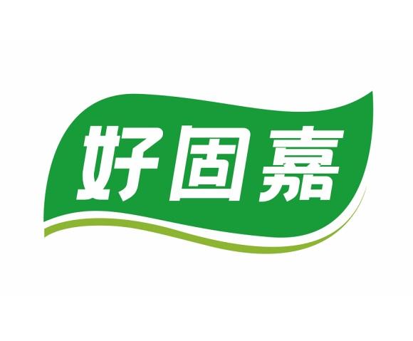 好固嘉