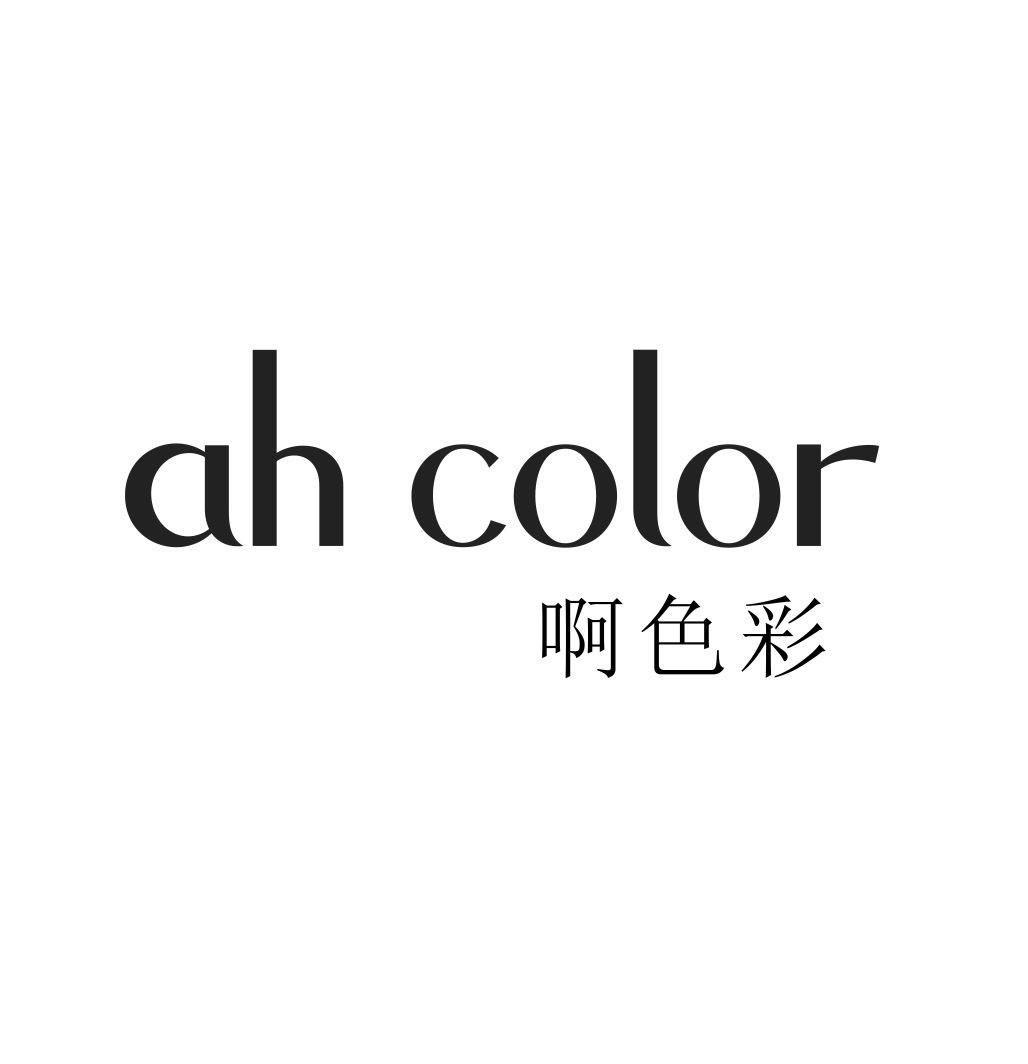 啊色彩 AH COLOR