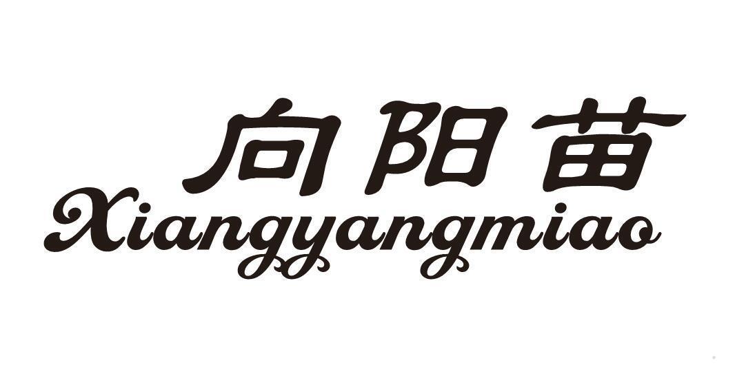 向阳苗