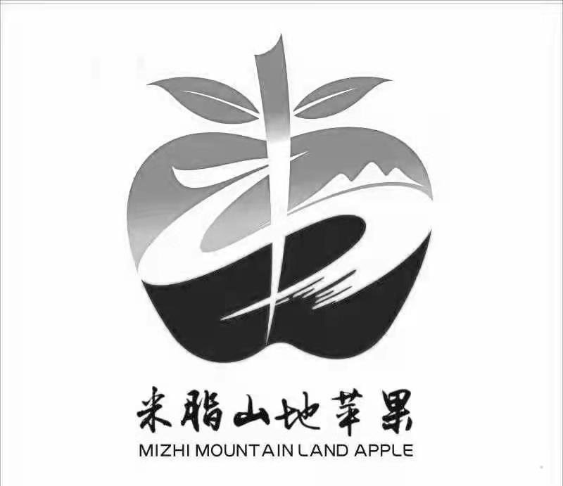 米脂山地苹果 MIZHI MOUNTAIN LAND APPLE