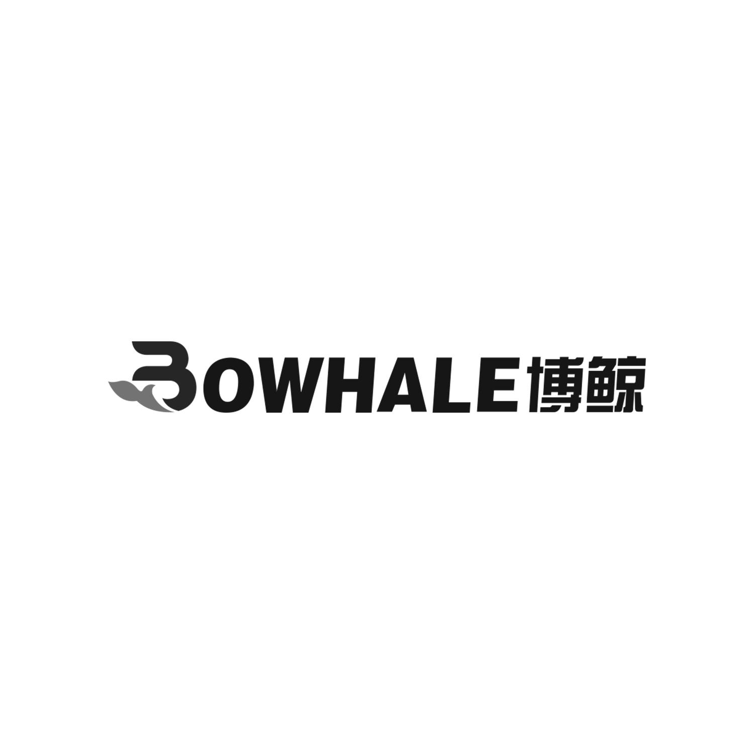 博鲸 BOWHALE